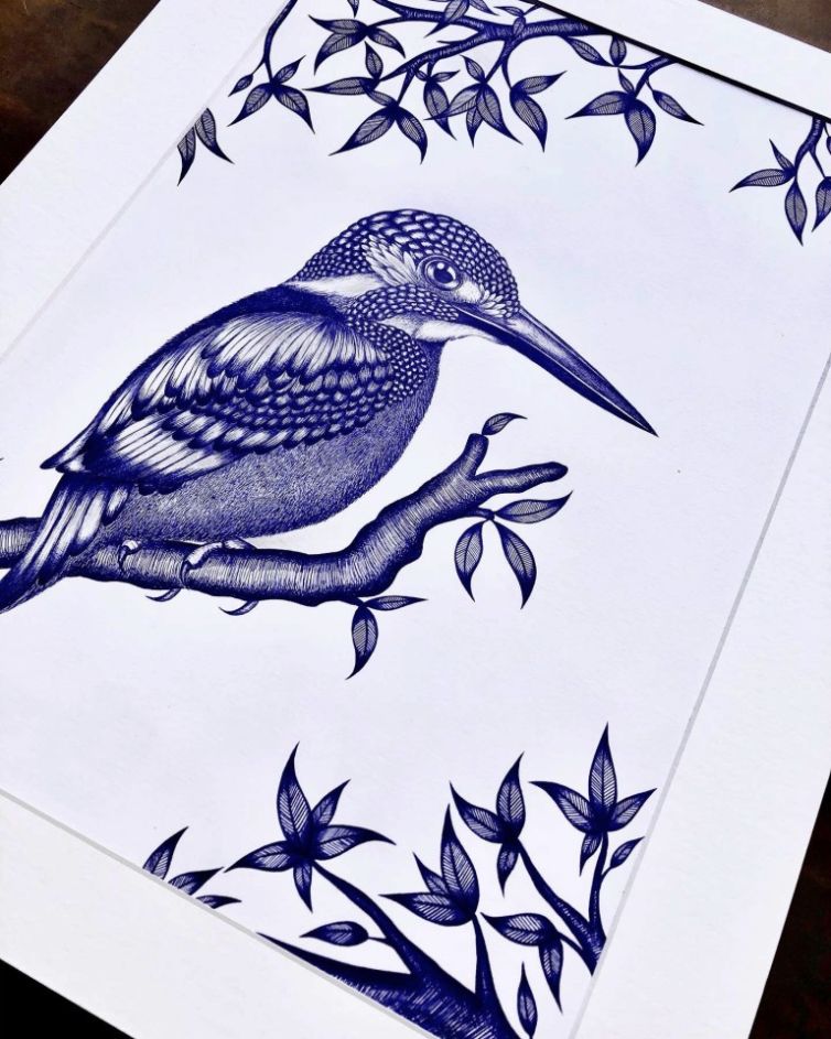 001 Fleur Baltussen ijsvogel Balpen op papier A3