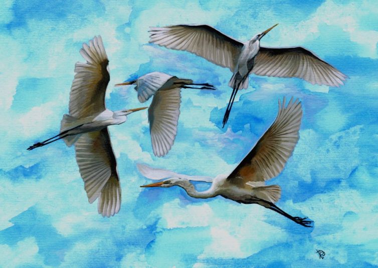 Reigers - Acryl en Aquarel